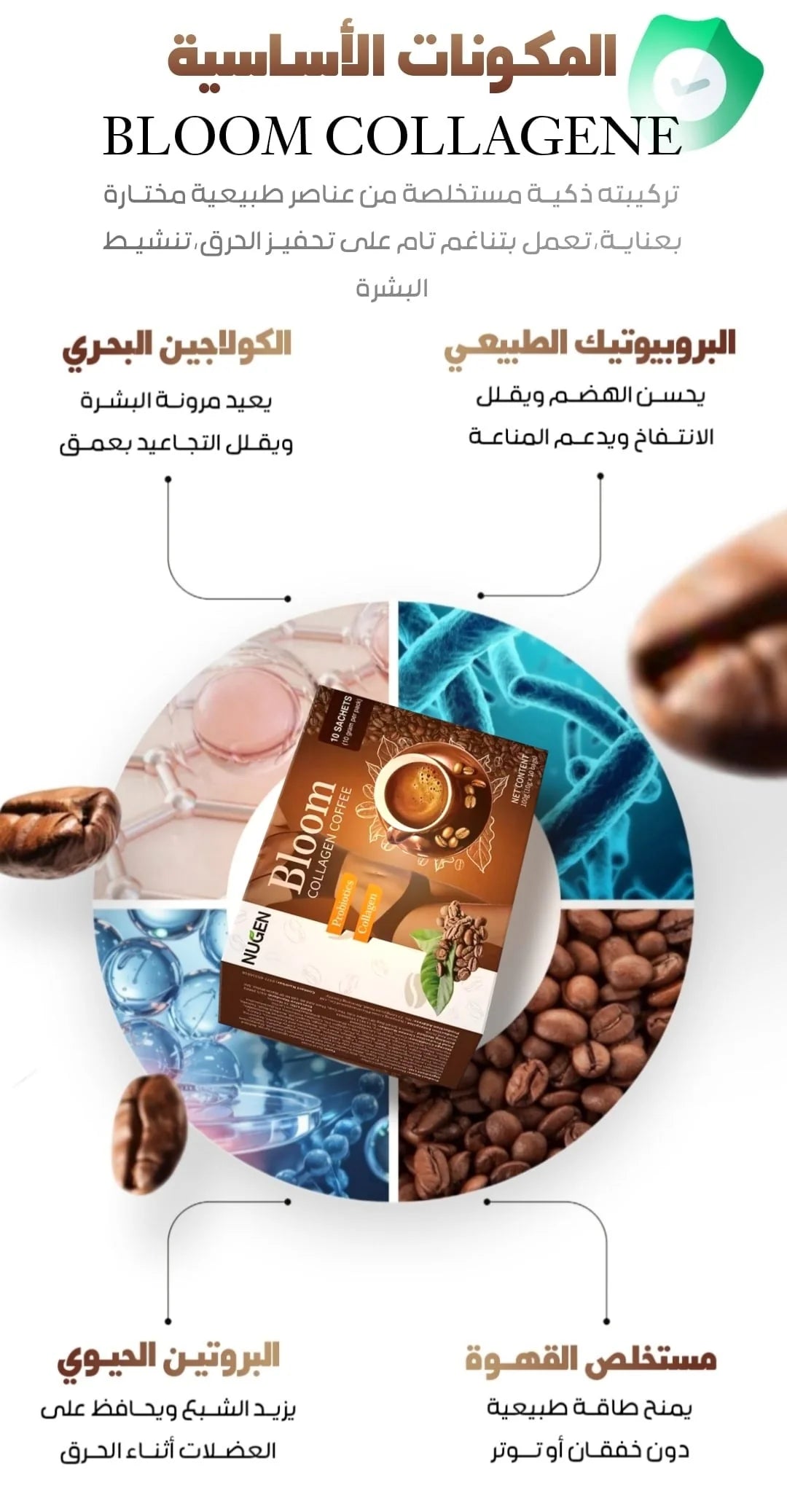 مكونات قهوة بلوم كولاجين — كولاجين بحري، بروبيوتيك، بروتين، مستخلص القهوة